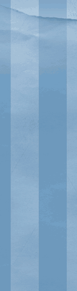 ICM Skyscraper 160X600